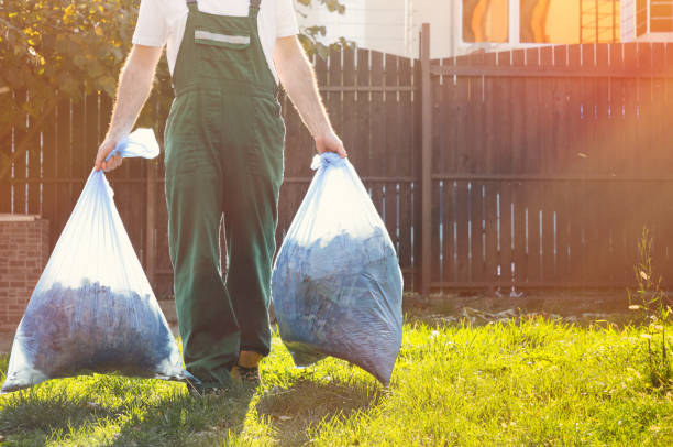 Best Electronics and E-Waste Disposal  in Ida Grove, IA